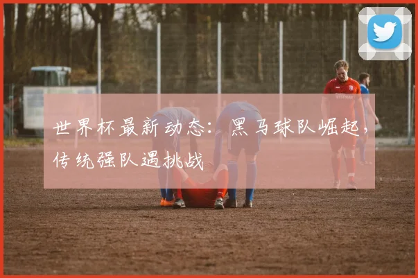 世界杯最新动态:黑马球队崛起,传统强队遇挑战